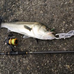 雪の降る中でジグサビキ